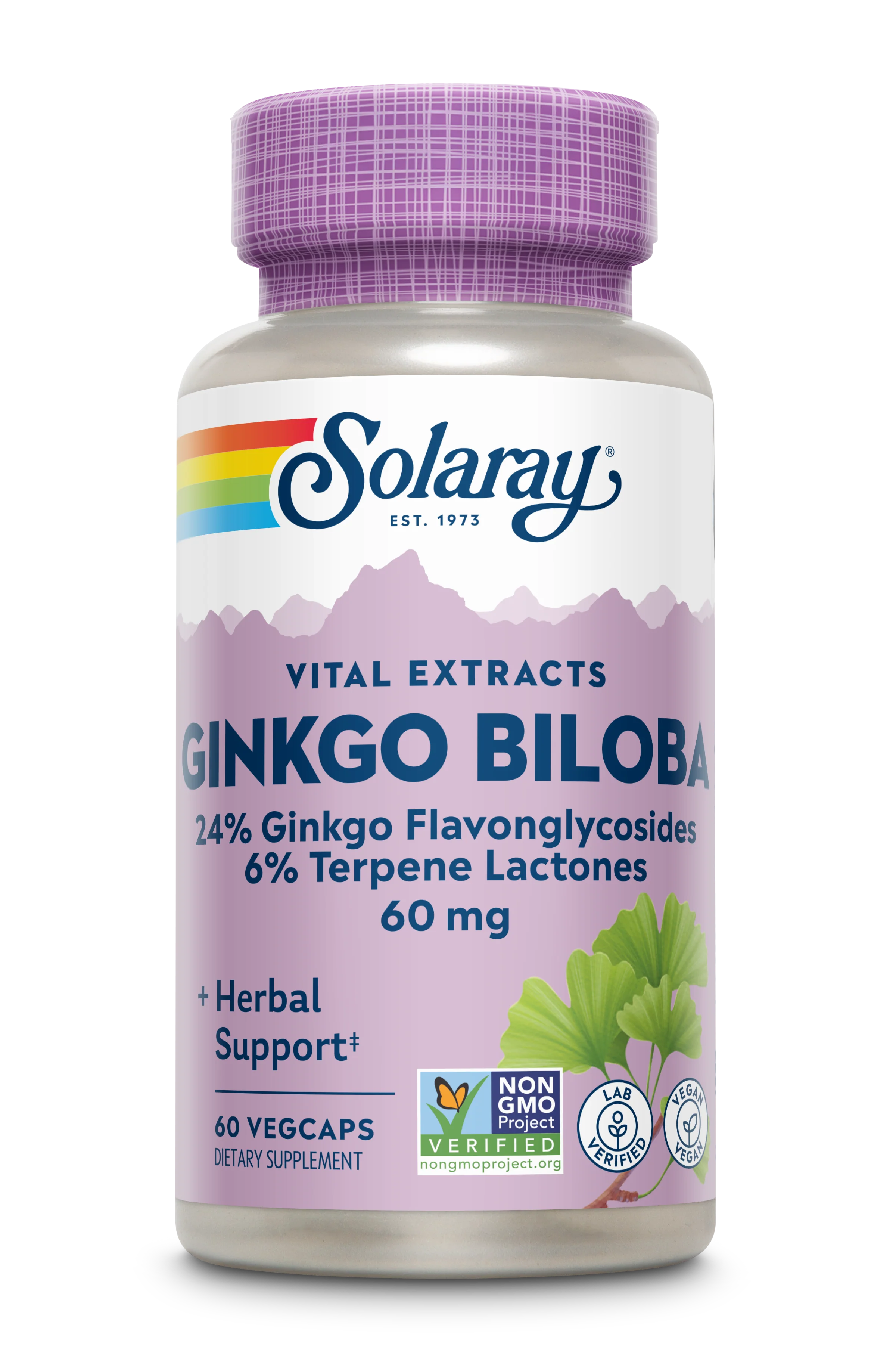 Ginkgo Biloba Leaf Extract 60mg