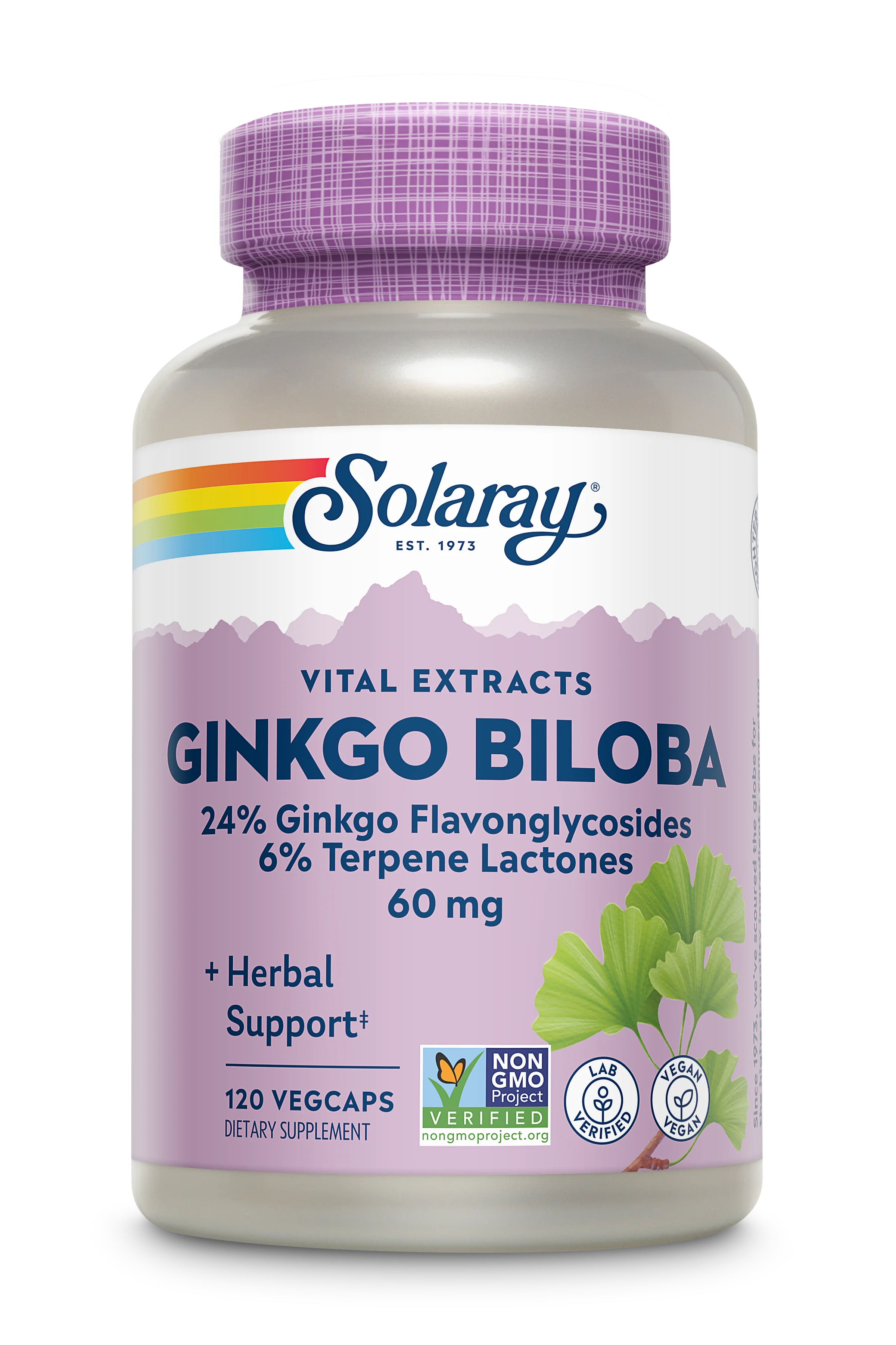 Ginkgo Biloba Leaf Extract 60mg - Image 2